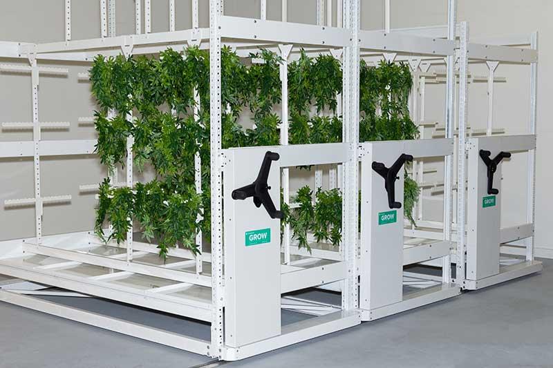 GROW mobile drying system with plants hanging