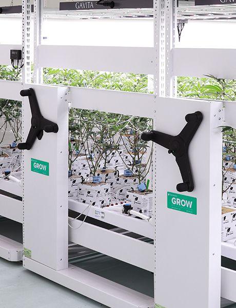 anti tip vertical grow mobile system with plants on it