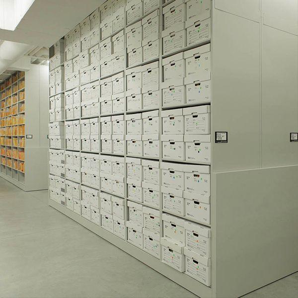 evidence storage consultants
