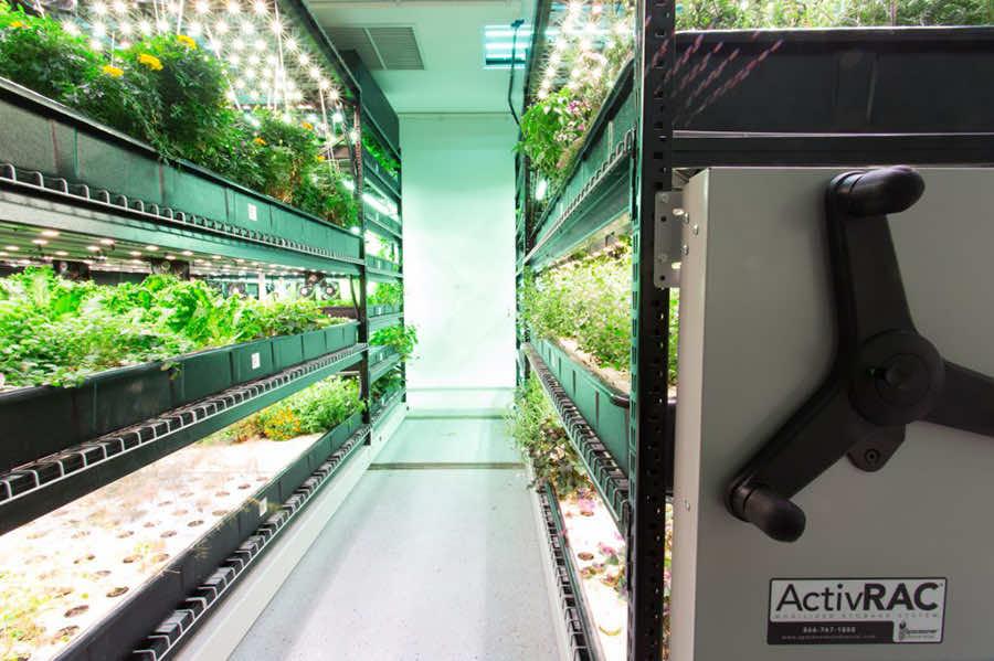 hydroponic shelves on mechanical assist mobile shelving system